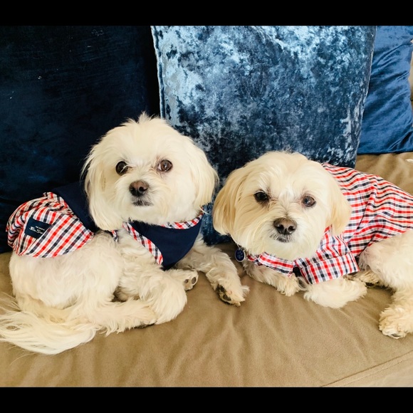 Meet your Posher, Erin - Picture 2 of 2